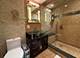 7234 W North Unit 1807, Elmwood Park, IL 60707