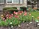 8629 Nancy, Orland Park, IL 60462
