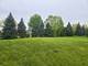 10 Covington, Algonquin, IL 60102