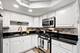 509 N 4th Unit A, Des Plaines, IL 60016