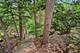 1006 Rogers, Waukegan, IL 60085