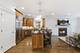 927 W George Unit 2, Chicago, IL 60657