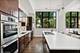 544 N Paulina Unit 1, Chicago, IL 60622