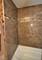 5400 Walnut Unit 111, Downers Grove, IL 60515