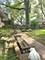 520 Warren, Park Ridge, IL 60068