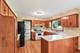 733 Buttonwood, Naperville, IL 60540