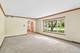733 Buttonwood, Naperville, IL 60540