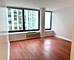155 N Harbor Unit 3007, Chicago, IL 60601