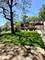 8534 S Bennett, Chicago, IL 60617