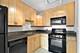 1960 N Lincoln Park West Unit 2106, Chicago, IL 60614