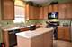 908 Angelica, Joliet, IL 60431