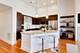 4043 N Damen Unit 4, Chicago, IL 60618