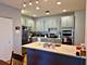 910 S Michigan Unit 1705, Chicago, IL 60605