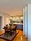 910 S Michigan Unit 1705, Chicago, IL 60605