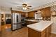 3238 N Pittsburgh, Chicago, IL 60634