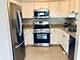 503 Orleans, Naperville, IL 60565