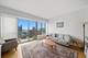 1717 S Prairie Unit 2207, Chicago, IL 60616