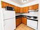 1635 W Morse Unit 206, Chicago, IL 60626