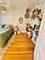 910 W Waveland Unit 1, Chicago, IL 60613
