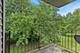 96 Gant Unit H, Streamwood, IL 60107