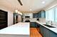 1634 E Forest, Des Plaines, IL 60018