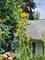 707 Buell, Joliet, IL 60435