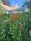 707 Buell, Joliet, IL 60435