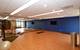 420 E Waterside Unit 1111, Chicago, IL 60601