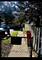 49 N Lake, Fox Lake, IL 60020
