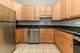 801 S Wells Unit 507, Chicago, IL 60607