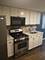 1014 W 19th Unit G, Chicago, IL 60608