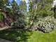 5517 N Mont Clare, Chicago, IL 60656