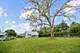 339 N Main, Lombard, IL 60148