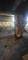 8601 S Carpenter, Chicago, IL 60620
