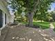 904 S 2nd, Des Plaines, IL 60016