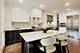 3045 W Ardmore, Chicago, IL 60659