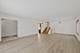 4738 N Potawatomie, Chicago, IL 60656