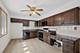 4738 N Potawatomie, Chicago, IL 60656