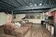 155 Salford, Algonquin, IL 60102