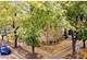 3703 N Hoyne Unit 3, Chicago, IL 60618