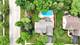 1497 Lilac, Crystal Lake, IL 60014