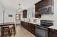 1719 N Newcastle, Chicago, IL 60707