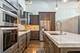 1727 S Indiana Unit 105, Chicago, IL 60616