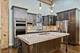 1727 S Indiana Unit 105, Chicago, IL 60616