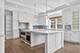 727 N Mckinley Unit 100, Lake Forest, IL 60045