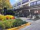 1069 W 14th Unit 229, Chicago, IL 60608