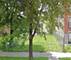 3141 W Polk, Chicago, IL 60612