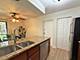 31 E Janata Unit 1A, Lombard, IL 60148