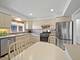 921 N Western, Park Ridge, IL 60068