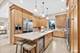 2104 Shermer, Northbrook, IL 60062